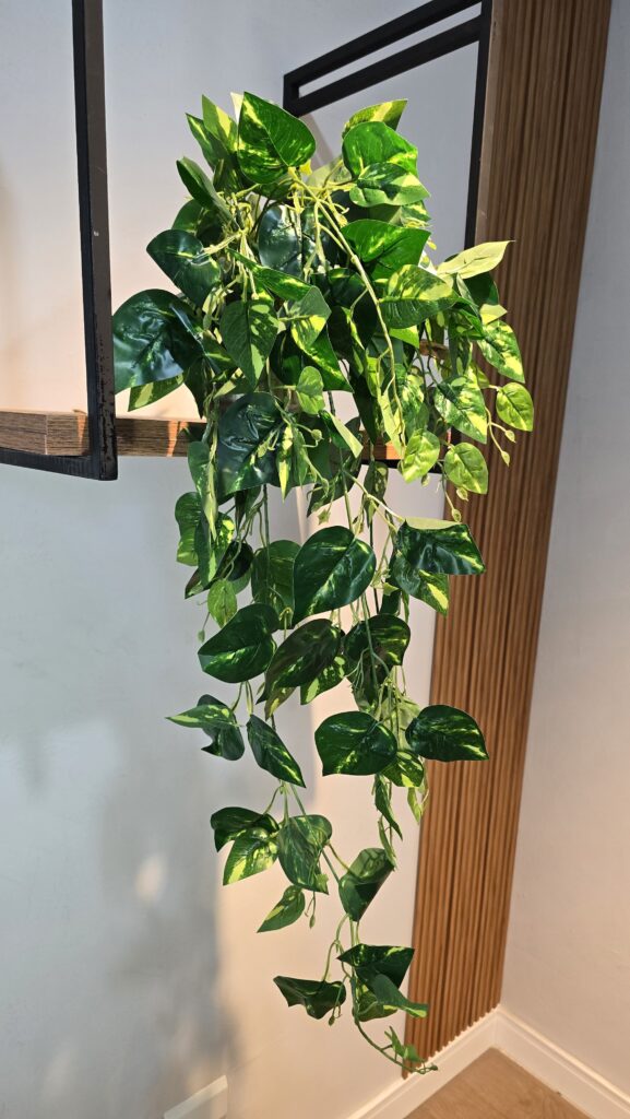 imagem do whatsapp de 2025 08 11 à(s) 15.04.21 dd0eb663 imagem do whatsapp de 2025 08 11 à(s) 15.04.21 dd0eb663