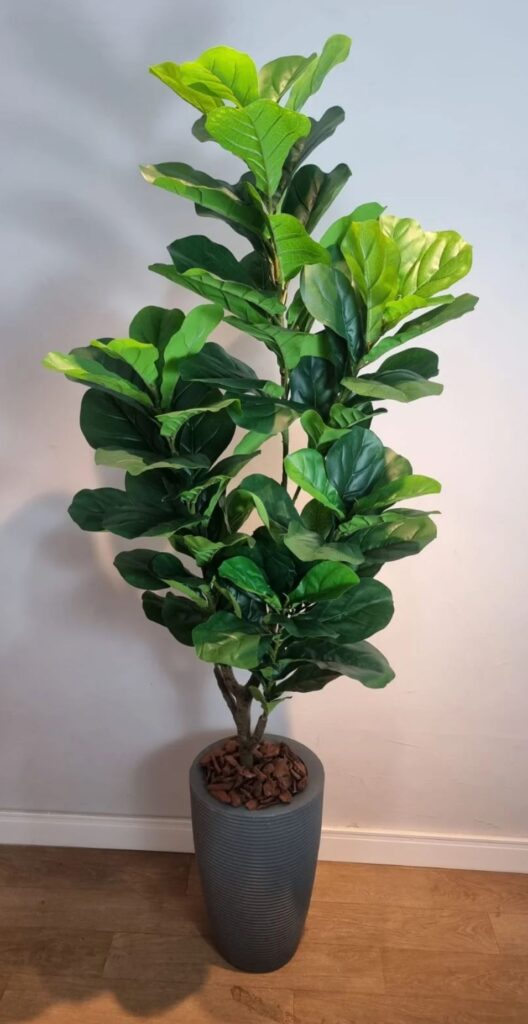 planta artificial lyrata com vaso planta artificial lyrata com vaso