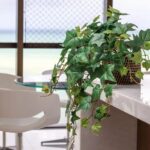 whatsapp image 2025 09 30 at 09.50.27 (1)