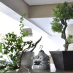 whatsapp image 2025 09 30 at 09.50.28 (1)