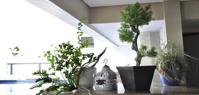 Dicas de Plantas Artificiais