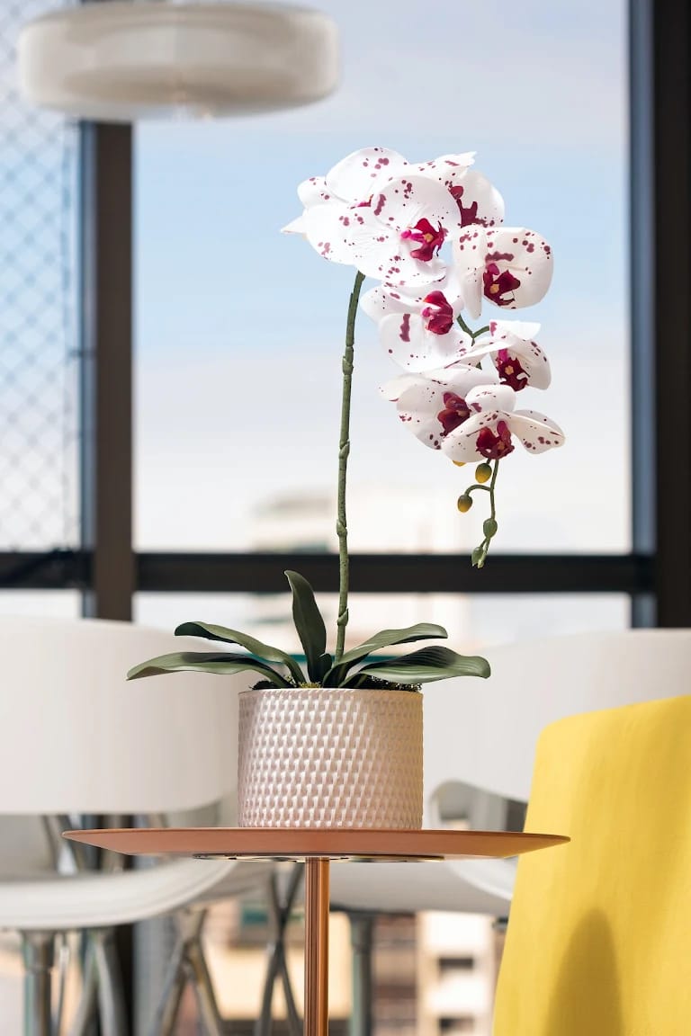 whatsapp image 2025 09 30 at 09.50.28 (2) whatsapp image 2025 09 30 at 09.50.28 (2)