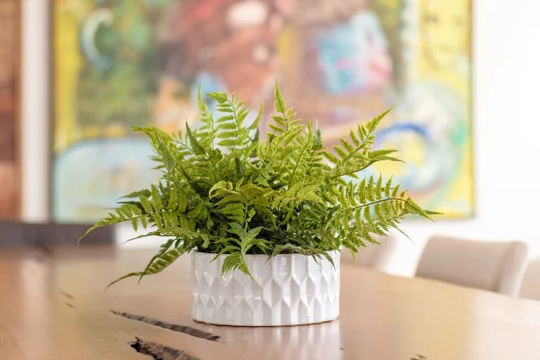 whatsapp image 2025 09 30 at 09.50.28